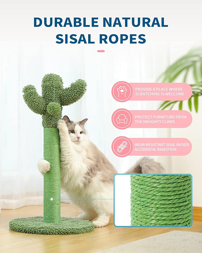 Made4Pets Cat Scratching Post, 21.7" Cactus Cat Scratcher Kitten Scratching Post with Natural Sisal Rope for Indoor Cats Claw Scratcher, Cat Tree with Dangling Balls for Small Kittens