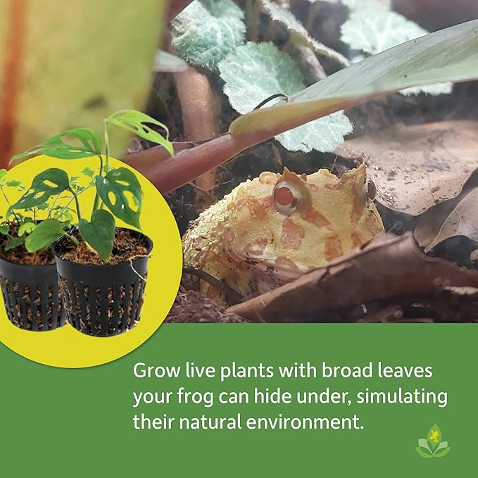 Josh's Frogs BioBedding PAC-Man Bioactive Substrate (10 Quart)