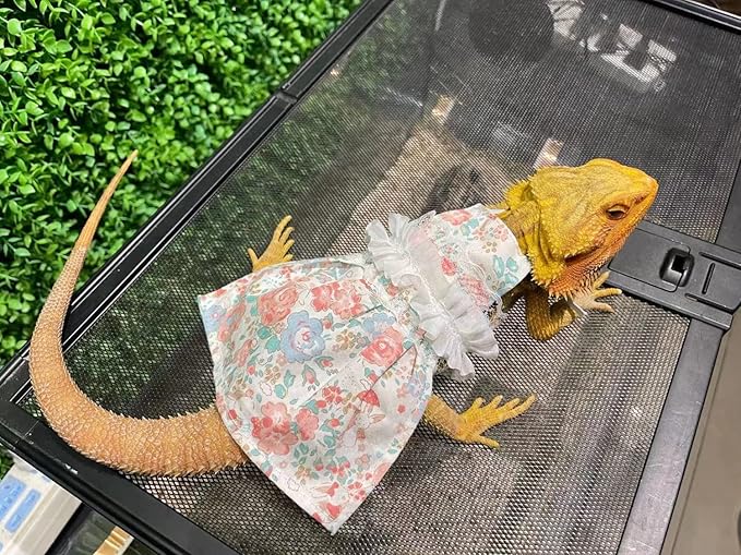 Lizard Dress for Bearded Dragon - Handmade Cotton Tutu Skirt with Lace Princess Sundress Halloween Costume Photo Cosplay Party for Reptile Lizard Bearded Dragon Crested Gecko Chameleon (M, Pink)