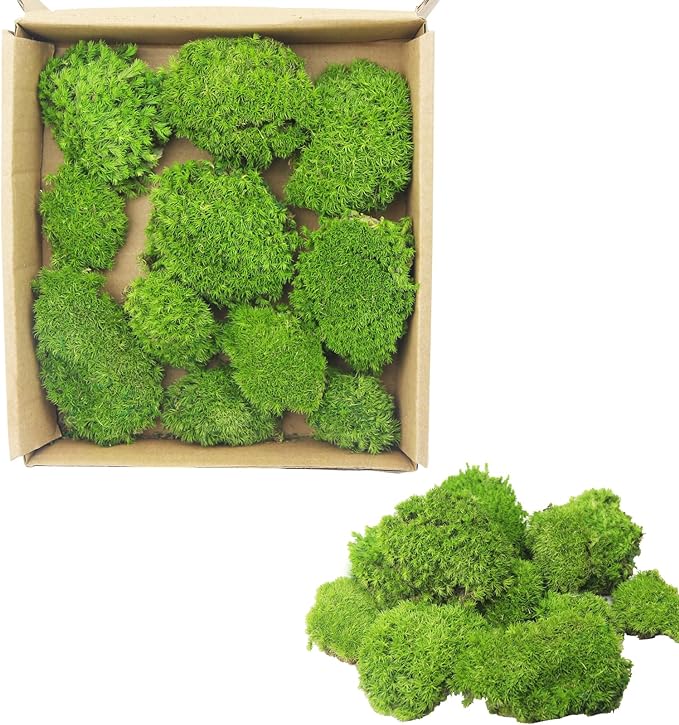 FAICOIA Preserved Pillow Moss Bulk Green Moss Balls for Bowls Natural Green Decorative 0.45 sq.ft Preserved Pole Moss Pillow for Wall Art Terrariums Crafts Fairy Gardens Pot Plants Easter Table Decor