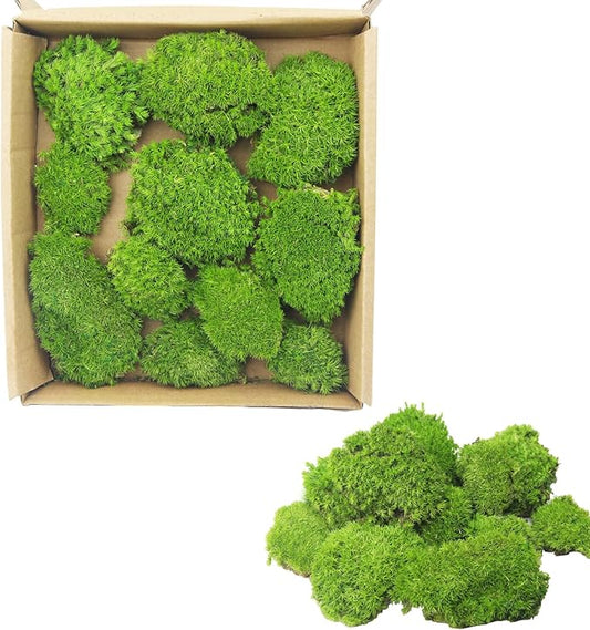FAICOIA Preserved Pillow Moss Bulk Green Moss Balls for Bowls Natural Green Decorative 0.45 sq.ft Preserved Pole Moss Pillow for Wall Art Terrariums Crafts Fairy Gardens Pot Plants Easter Table Decor