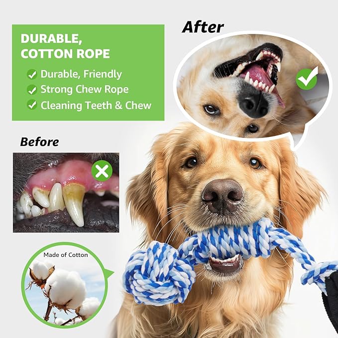 LOOBANI Dog Rope Toy Tug of War Dog Toy, Indoor Outdoor Use Bungee Tether Tug Toy, for Small Medium Large Dogs Interactive Dog Toy Tree Chew Training