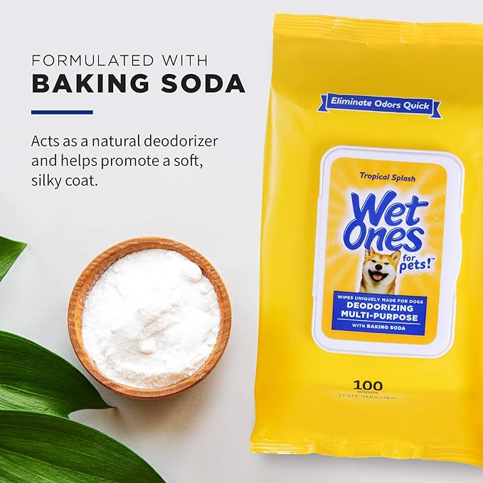 Wet Ones for Pets Deodorizing Multi-Purpose Dog Wipes With Baking Soda, 100 ct - 12 Pack | Dog Deodorizing Wipes For All Dogs in Tropical Splash Scent, Wet Ones Wipes for Deodorizing Dogs