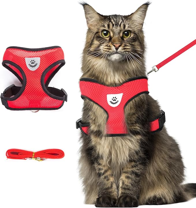 Summer cat Chest Harness and Leash, Anti-Escape Adjustable Soft mesh cat Leash and Chest Harness Set for All Types of Cats cat Vests(Size XL,Red)