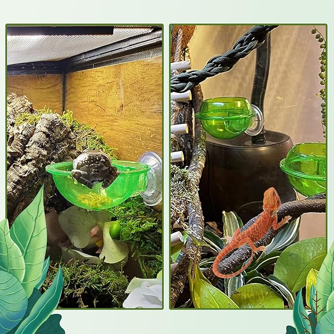 PINVNBY Reptile Bowl with Suction Cup,Chameleon Feeding Bowl,Gecko Food and Water Feeding Dish Pet Feeder Supplies Accessories for Lizards,Snakes,Bearded and Dragons(4 Pcs)