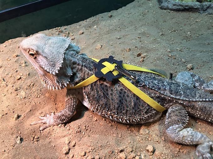 2 Pack Adjustable Reptile Harness and Leash for Lizard Gecko Bearded Dragon Outside Walk (Yellow)