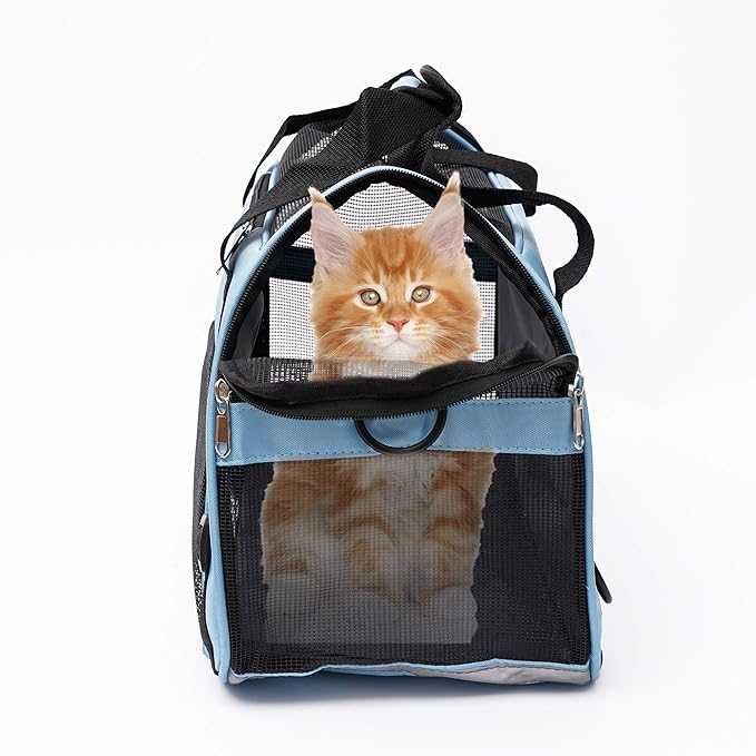 Pet Carrier Soft-Sided Carriers for Cat Carriers Dog Carrier for Small Medium Cats Dogs Puppies Pet Carrier Airline Approved up to 15 Lbs Cat Dog Pet Travel Carrier (Small, Blue) 1