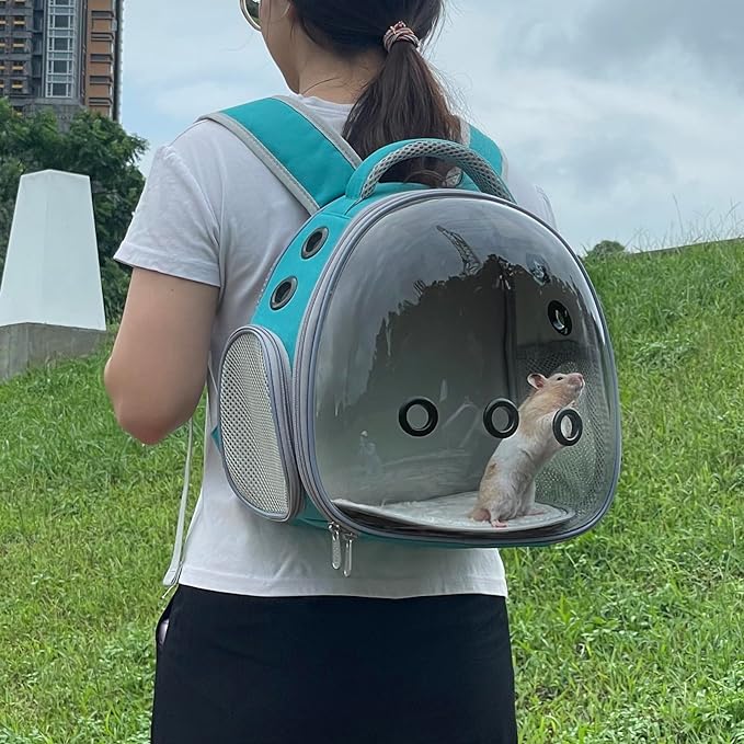 Portable Travel pet Backpack Carrier Hamster Bag Guinea Pig Bird small dog cat Backpack Turtle Carrier Rabbit Cage Rabbit Guinea Pig Squirrel Bearded Dragon Breathable Hangbag(green)