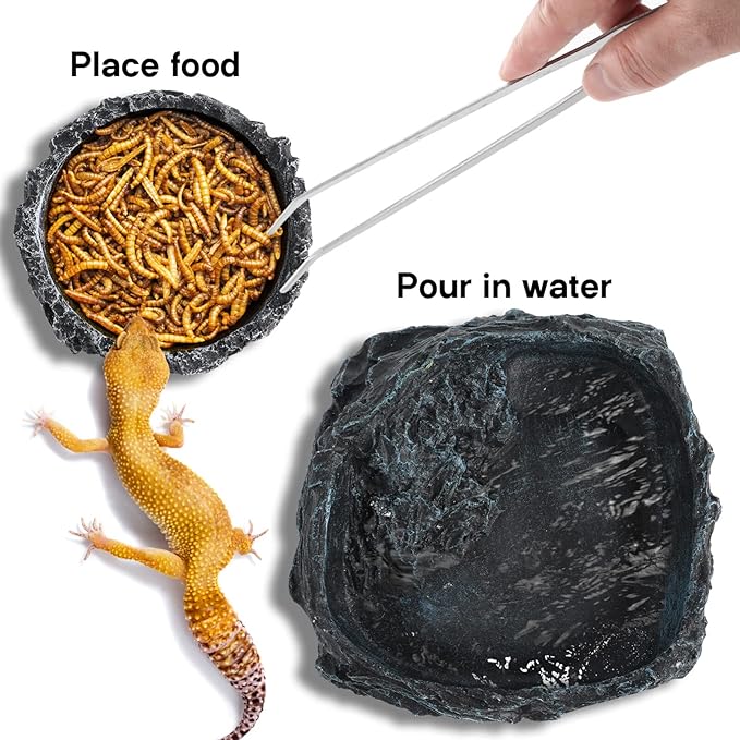 Reptile Bowl - 2Pcs Reptile Water Dish with Feeding Tongs Reptile Feeding Reptile Feeding Bowls Reptile Water Bowl Reptile Food Dish for Lizard Tortoise