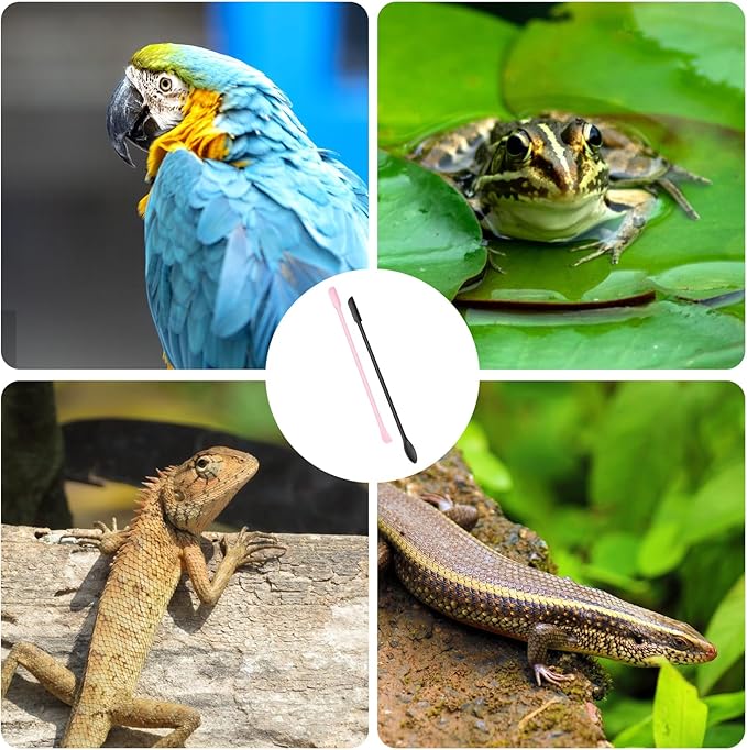 2Pcs Reptile Food Spoon Silicone Crested Gecko Feeding Spoon, Crested Gecko Food Mixing Spoon for Gecko Lizard Gargoyle Bearded