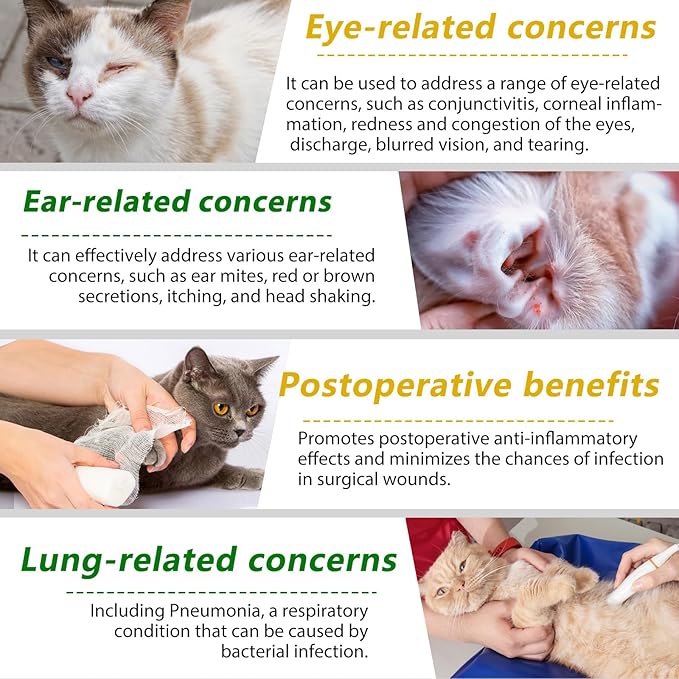 Cat Antibiotics for Infection Wounds,Natural Cat Antibiotics for UTI,for Cats Ear Infection & Upper Respiratory Infection & Infection Stomitas,Supports Immune & Cats Allergy Relief, Cats Multivitamin