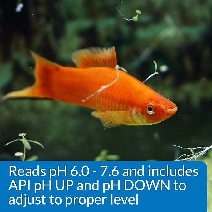 API pH TEST & ADJUSTER KIT 250-Test Freshwater Aquarium Water pH Test and Adjuster Kit