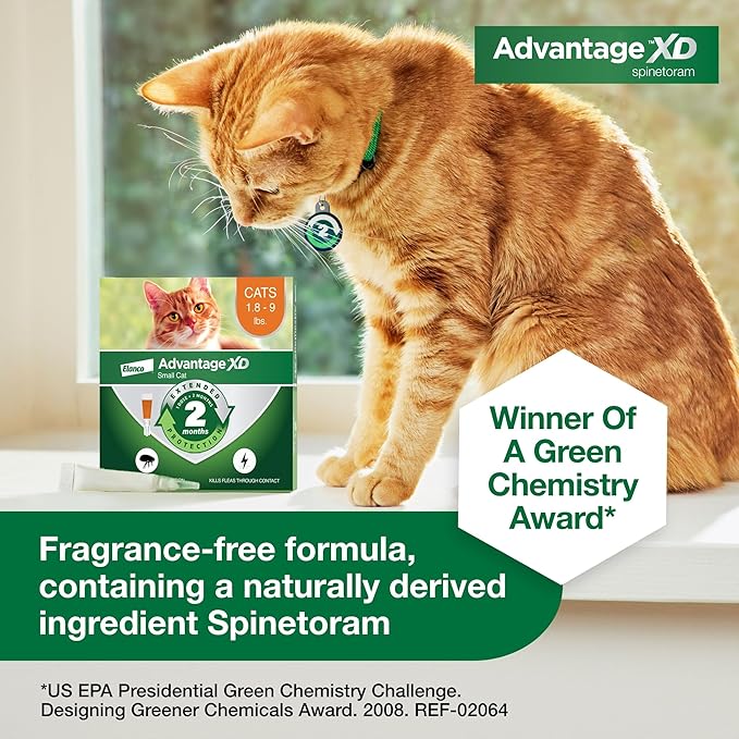 Advantage XD Small Cat Flea Prevention & Treatment For Cats 1.8-9lbs. | 2-Topical Doses, 2-Months of Protection Per Dose