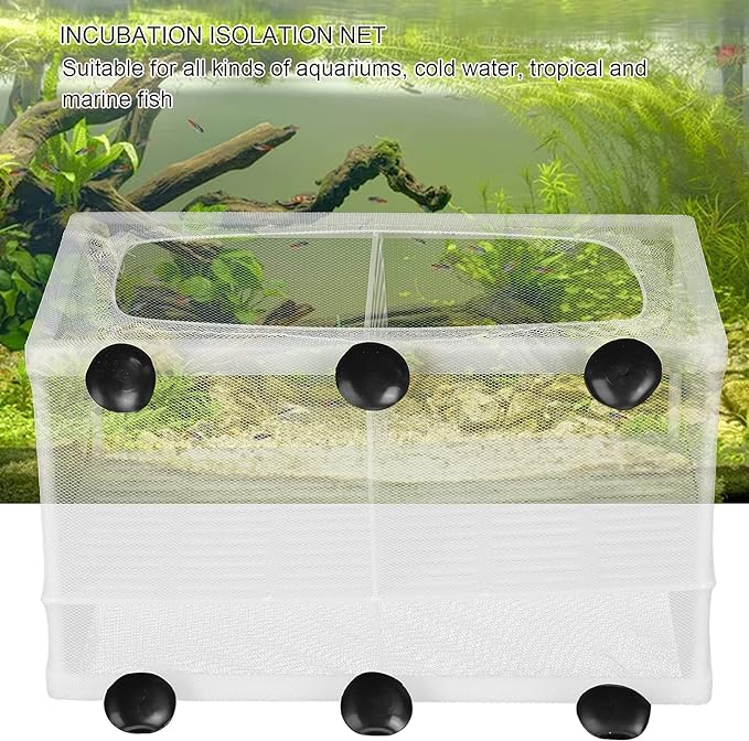 Aquarium Fish Breeder Box Isolation Box Breeder Hatchery Incubator with Suction Cup Large with dividers