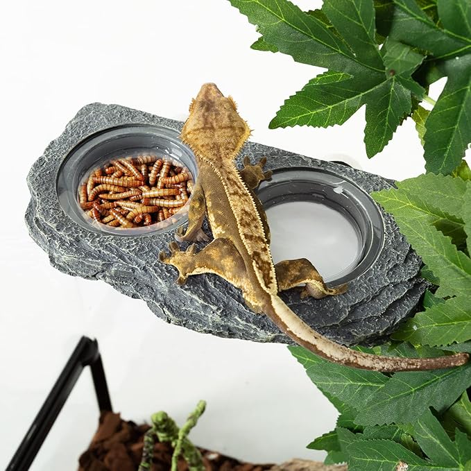 REPTIZOO Reptile Magnetic Feeder Ledge, Double Bowl Reptile Food Dish with 6PCS Feeding Cups Food Water Feeder for Crested Gecko Lizard Chameleon Pets