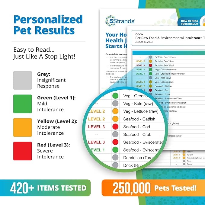 5Strands Pet Raw Food Intolerance & Environmental Sensitivity Test, at Home Test for Dogs & Cats, Hair Sample Collection Kit, All Ages and Breeds, Results in 5 Days