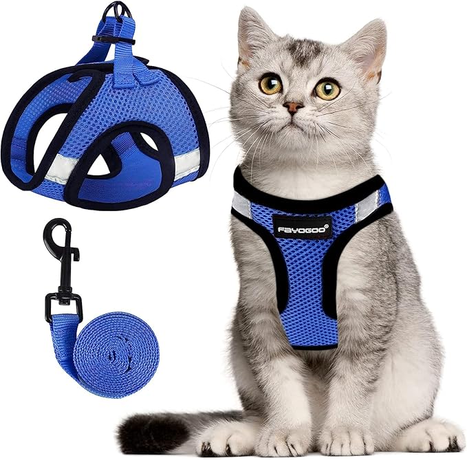 Cat Harness, Cat Leash and Harness Set for Walking Escape Proof, Harness for Small Cats/Small Dogs, Large Kitten/Puppy Harness and Leash, Harness for Cats S-XXL(Royal Blue, Large)