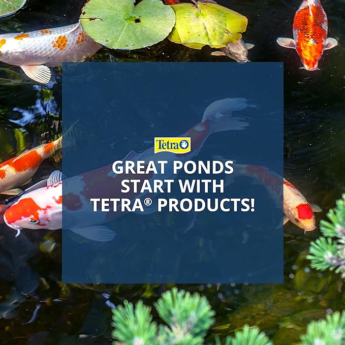 Tetra Pond Sticks, Koi Fish & Goldfish Food, Soft Sticks, Easy to Digest Floating Pond Fish Food, 3.53 ounces