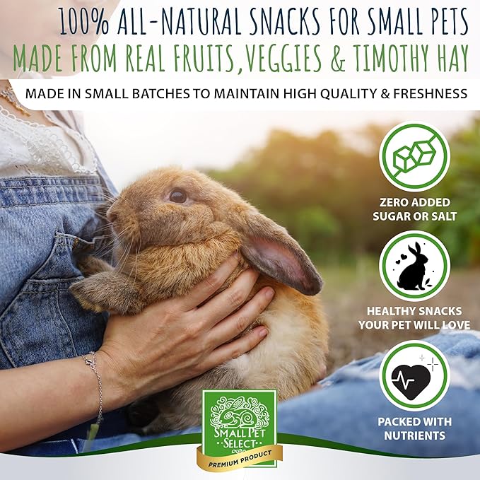 Small Pet Select - Healthy Snackers - Pumpkin