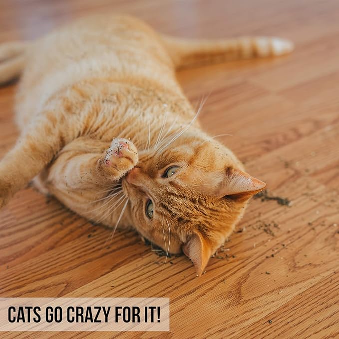 Our Pets Premium Catnip - 0.5 oz Bag of High Potency Catnip - 100% North American Grown