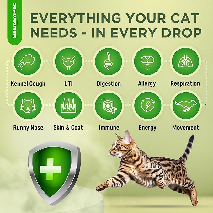 Natural Antibiotics for Cats | Cat Antibiotics | Supports Cat Allergy Relief | Cat Itch Relief | Cat Allergy Support | Cat Multivitamin | Pet Antibiotics | Cat Antibiotics | 2 Oz