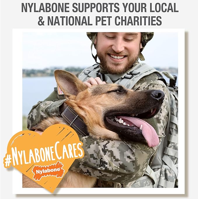 Nylabone Nutri Dent Dog Dental Chews - Natural Dog Teeth Cleaning & Breath Freshener - Dental Treats for Dogs - Filet Mignon Flavor, X-Large (1 Count)