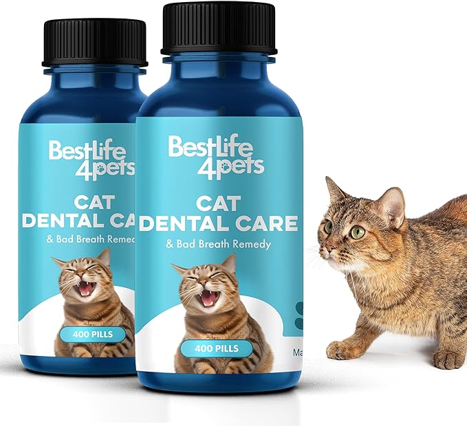 BestLife4Pets Oral Health for Cats - Cat Dental Care Supplement for Stomatitis Gingivitis and Gum Disease Cat Supplies for Dental Care - Easy to Use Pills (2 Pack)