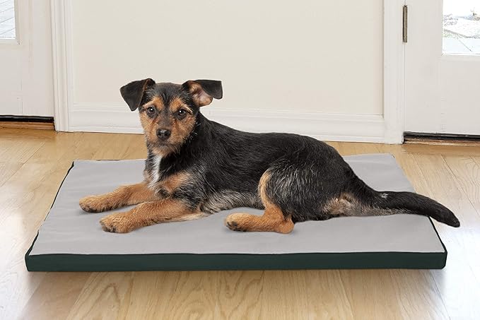 Furhaven Water-Resistant Dog Bed for Small Dogs w/ Removable Washable Cover, Perfect for Crates & Kennels, For Dogs Up to 25 lbs - Two-Tone Reversible Crate Pad - Green/Gray, Small