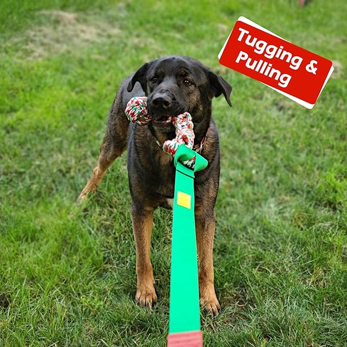 LOOBANI Outdoor Bungee Tug Toy, Dog Toy Hanging from Tree for Small to Large Dogs, Interactive Exercise Play Rope Cord & Tether Tug, Durable Spring Pole Rope for Tug of War, with Chew Rope Toy (Green)