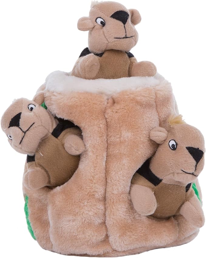 Outward Hound Hide A Squirrel Plush Dog Toy Puzzle, Small