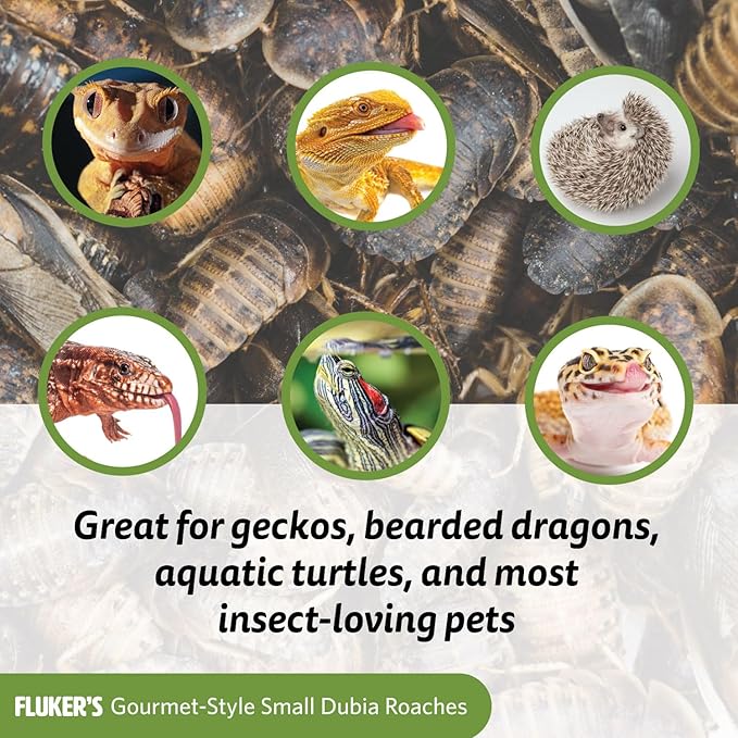 Fluker's Gourmet Canned Food for Reptiles, Fish, Birds and Small Animals, Dubia Roaches, 1.2 oz