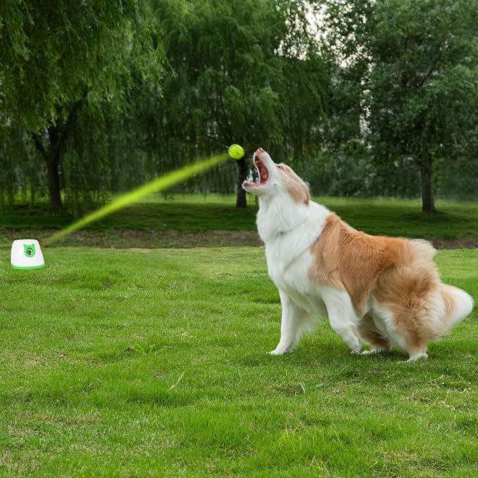 Automatic Ball Launcher, Adjustable Launch Distance, Including 6 2-inch Small Sized Tennis Balls, Suitable for Small to Medium Sized Dogs (Green)