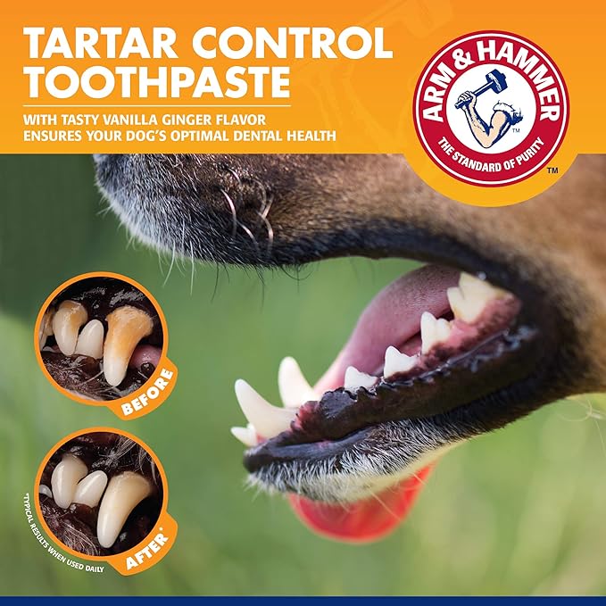 Arm & Hammer for Pets Tartar Control Dental Training Kit for Puppies | Dog Toothbrush, Toothpaste, & Fingerbrush, Total Kit for Ideal Puppy Dental Health | Yummy Vanilla Ginger Flavor