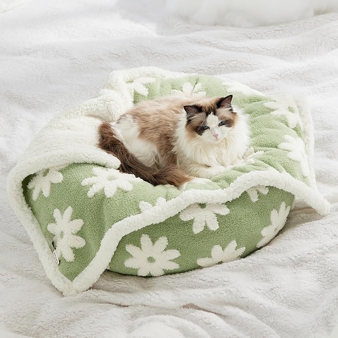 Lesure Waterproof Puppy Blanket for Small Dogs - Washable Double Sided Dog Blankets with Warm Jacquard Shag and Soft Sherpa Fleece, Pet Cat blanket for Couch Protection, 3D Textured Cloud, Green