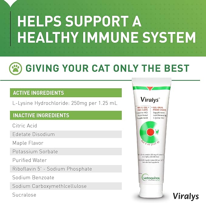 Vetoquinol Viralys Gel L-Lysine Supplement for Cats, 5oz - 2 pack - Cats & Kittens of All Ages - Immune Health - Sneezing, Runny Nose, Squinting, Watery Eyes - Palatable Maple Flavor Lysine Gel