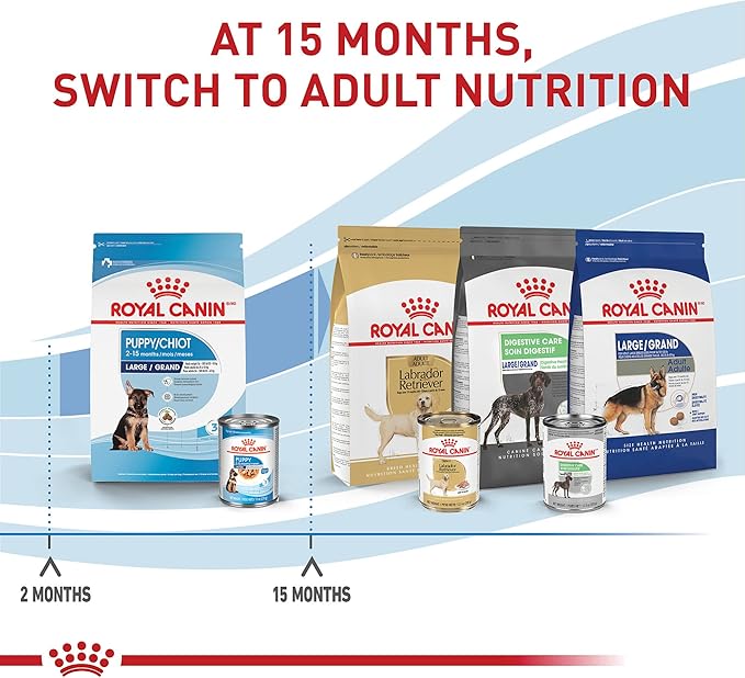 Royal Canin Size Health Nutrition Dry Large Breed Puppy Food, Supports Brain Development, Immune Support and Digestive Health, 30 lb Bag