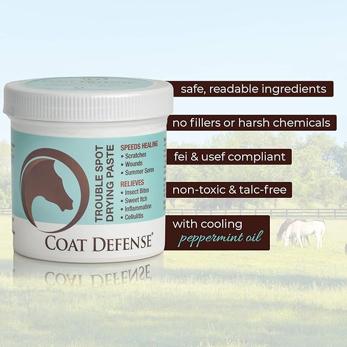 COAT DEFENSE Trouble Spot Drying Paste for Horses - Natural Equine Wound Care That Provides Safe & Effective Relief from Scratches, Sweet Itch, Summer Sores, Proud Flesh, Mud Fever, Girth Rot (10 Oz)