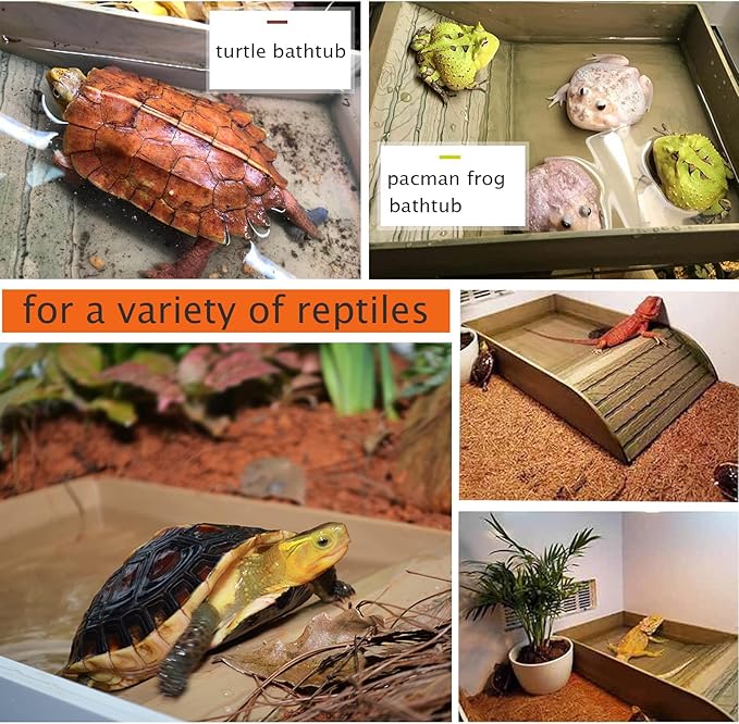 3pcs Tortoise Food Dish with Ramp and Basking Platform Leaf Tortoise Water Food Bowls Reptile Water Dish Turtle Reptile Pool for Amphibians Gray