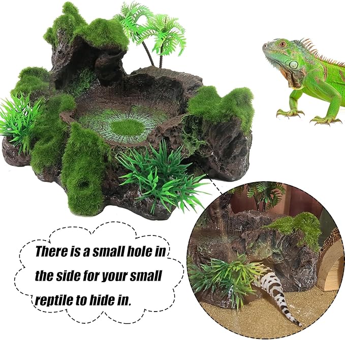 Reptile Feeding Bowl Resin Turtle Food Water Dish Terrarium Tank Decor with Artificial Plants for Lizard Gecko Chameleon Frog Spider