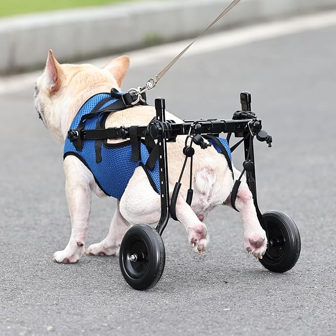 Dog Wheelchair Van. Dog Wheelchair Trolley for rears, Adjustable Dog Wheelchair Trolley for rears, Dog Leg Support and Hip Support for Disabled and Injured Small Dogs