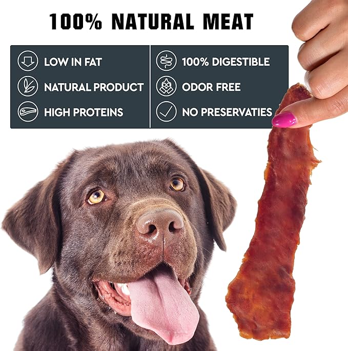 Duck Jerky Dog Treats - Human Grade Pet Snacks - Natural High Protein Meat Dried Strips - Best Chews for Training Small & Large Dogs - Bulk Soft Pack