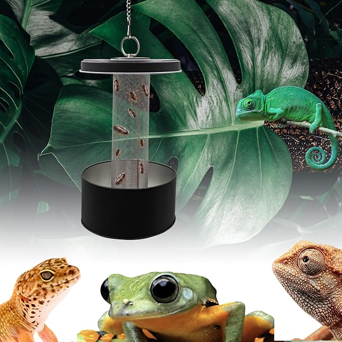 Chameleon Food Bowl, Lizard Feeder, Reptile Food Cup, Chameleon Cage Accessories, Dubia Roaches Mealworms Superworms Organizer with Column for Prey to Climb and Move