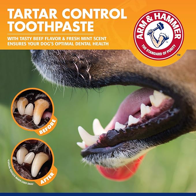 Arm & Hammer for Pets Tartar Control Kit for Dogs | Contains Toothpaste, Toothbrush & Fingerbrush | Reduces Plaque & Tartar Buildup | Safe for Puppies, 3-Piece , Beef Flavor