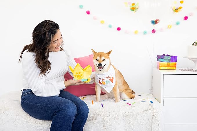 Pearhead Happy Barkday M/L Bandana Hat Set, Pet Birthday Gift, Dog Birthday Party Accessories, Party Hat and Bandana for Dogs, Pet Owner Must Have Accessories, Medium/Large