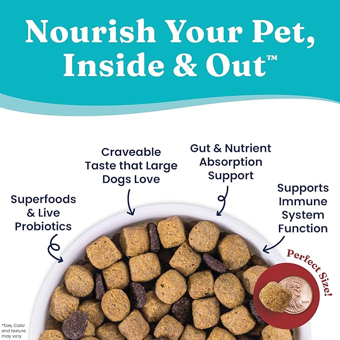 Solid Gold Nutrientboost Wolf King Large Breed Dog Food - Whole Grain Dry Dog Food Kibble Made with Real Bison, Brown Rice & Sweet Potato - Omega 3, Superfood & Digestive Probiotics - 22 LB Bag