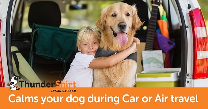 ThunderShirt for Dogs, Large, Fuchsia Sport - Dog Anxiety Relief Calming Vest
