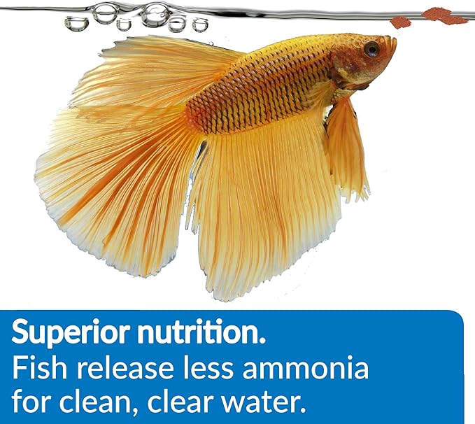 API Betta Flakes Fish Food .36-Ounce Container