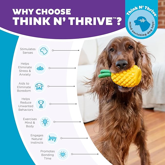 Outward Hound Dental Pineapple Dental Chew Toy and Interactive Treat Stuffer Durable Dog Toy Stuffable Dog Toy, Yellow