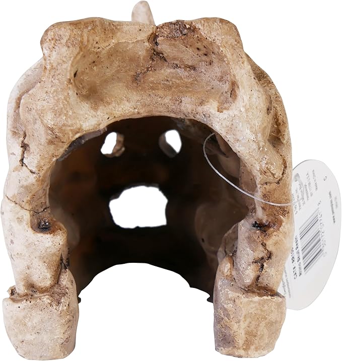 Penn-Plax Rhino Skull Aquarium Decoration - Aged Dinosaur Skeleton Décor – for Fish Tanks (RR1067)