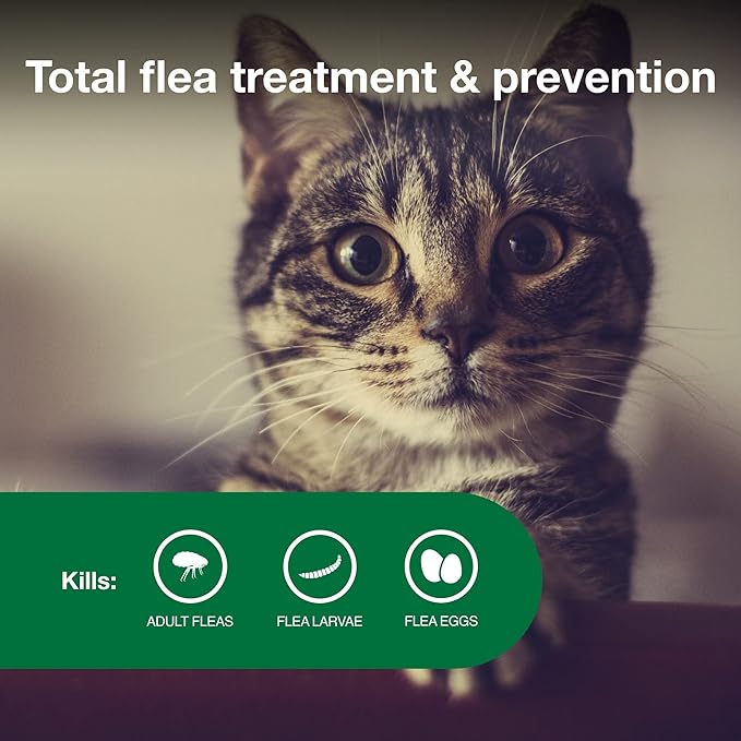 Advantage II Small Cat Vet-Recommended Flea Treatment & Prevention | Cats 5-9 lbs. | 6-Month Supply